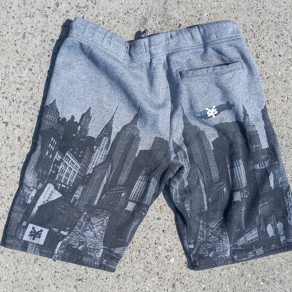 Zoo York Skyline Thread Collective SWEAT SHORTS New York City Landmarks (M) - Picture 11 of 16